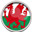 National Team: Wales